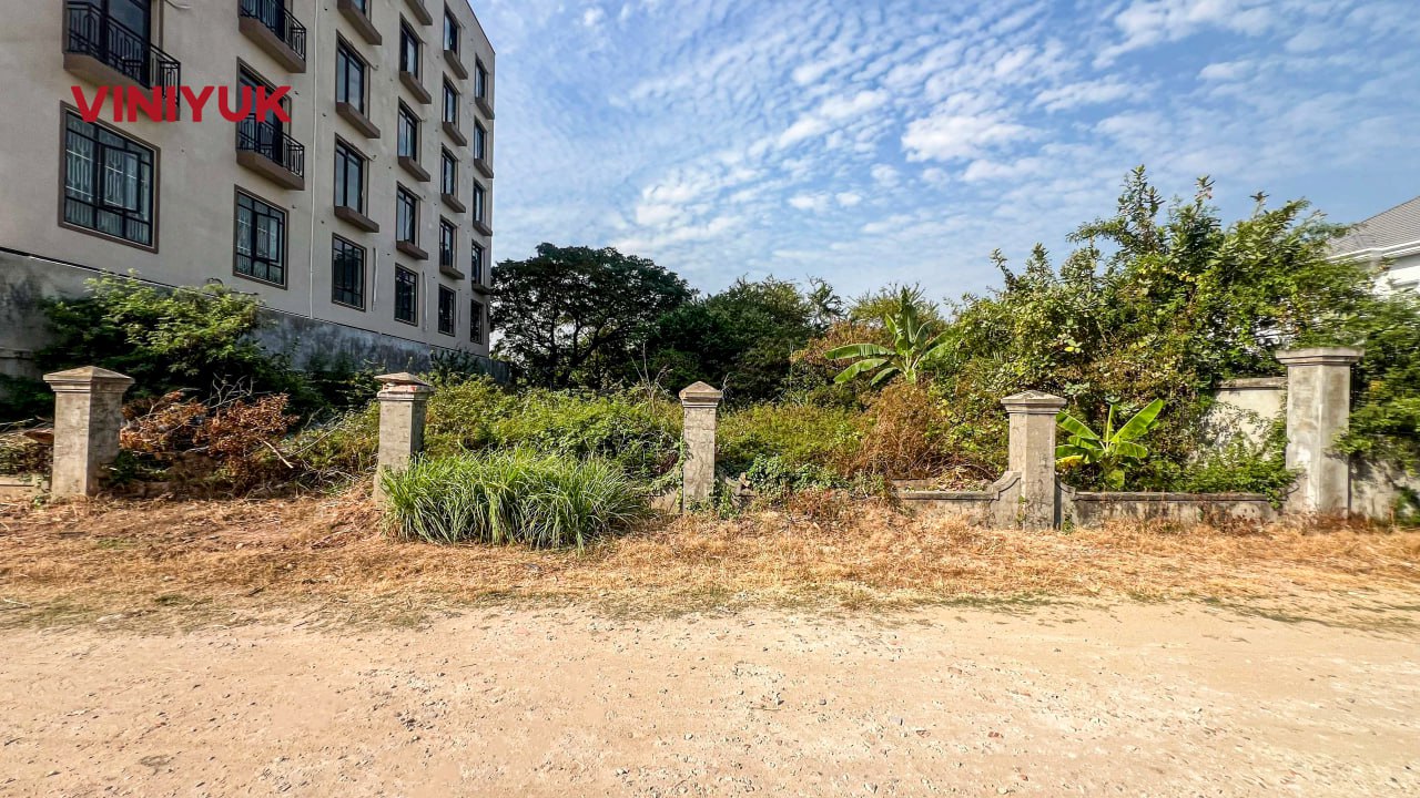 photo_1_2026-02-12_15-07-46