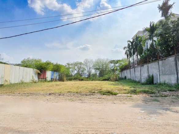 Massive Development Lot Near Chea Sophara