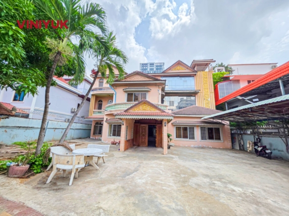 Massive Villa with Endless Potential